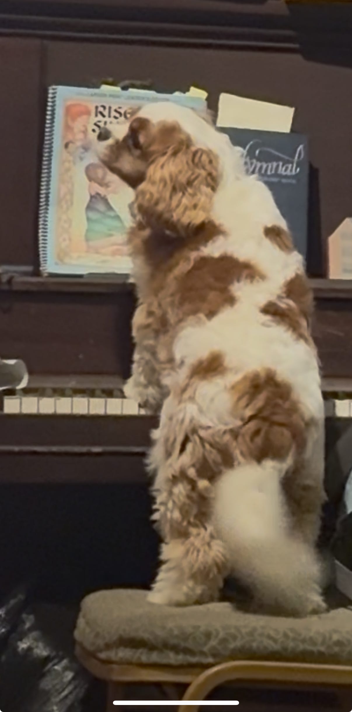 Jetson mid-performance